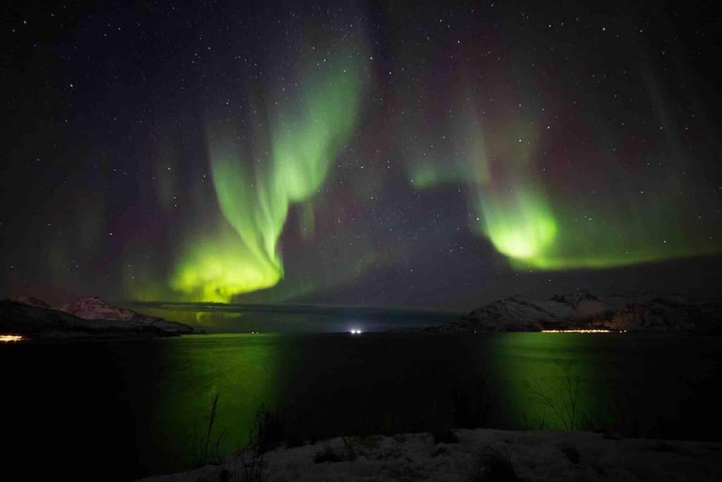 Lejlighed 10th Floor Penthouse In The Heart Of Tromsø