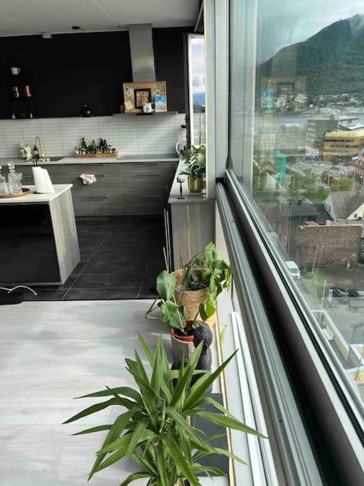 Lejlighed 10th Floor Penthouse In The Heart Of *