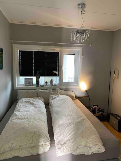 Apartment 10th Floor Penthouse In The Heart Of